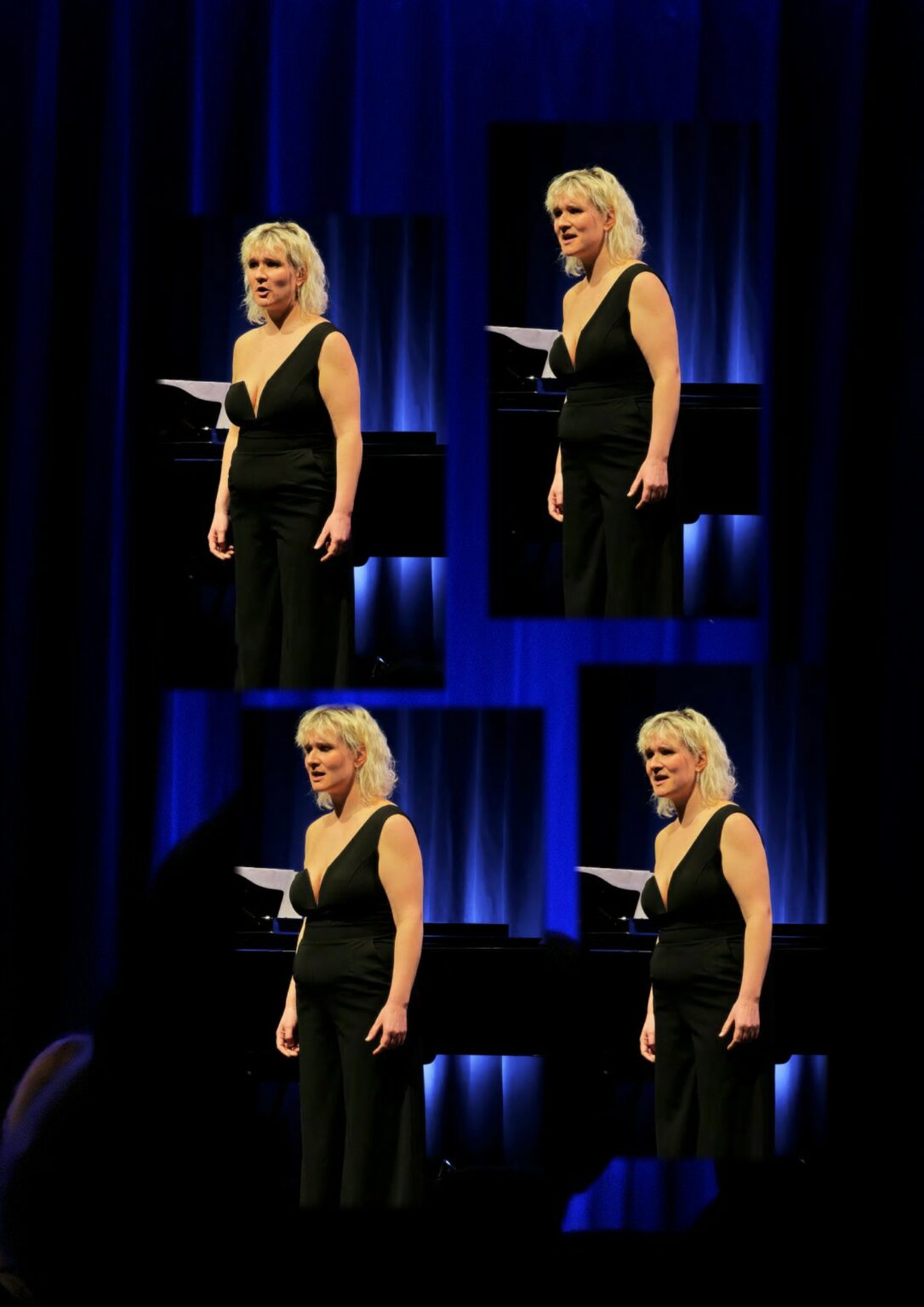 Duo FunG in concert: Friedberg, Theater Altes Hallenbad (photo 3)